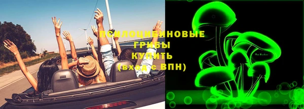 гашик Надым
