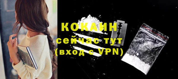 гашик Надым