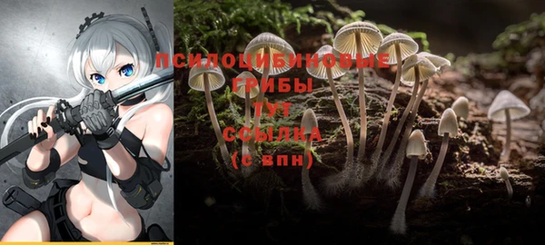 гашик Надым