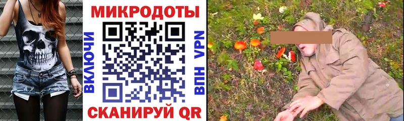 Псилоцибиновые грибы Psilocybine cubensis Зеленокумск