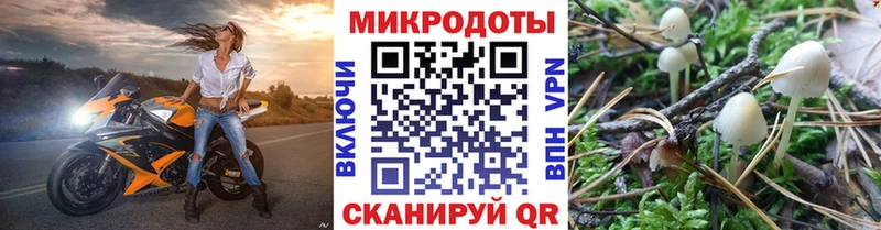 Псилоцибиновые грибы мицелий  Зеленокумск 