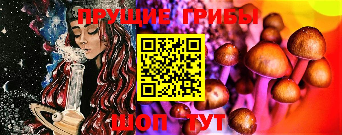 Галлюциногенные грибы Psilocybe  Зеленокумск  Галлюциногенные грибы мухоморы 