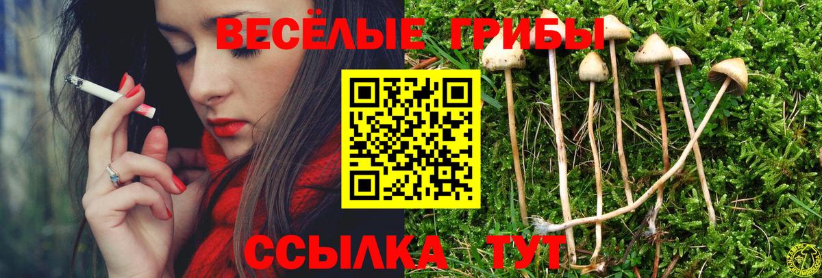 Псилоцибиновые грибы GOLDEN TEACHER Зеленокумск