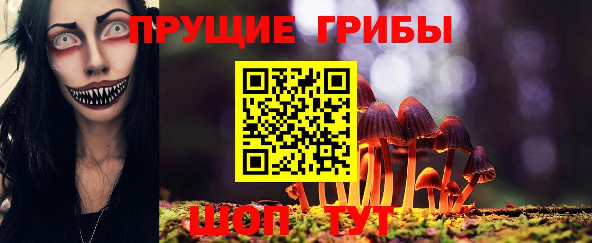 где найти наркотики  Вход с VPN  Зеленокумск  Псилоцибиновые грибы Magic Shrooms  Псилоцибиновые грибы прущие грибы 